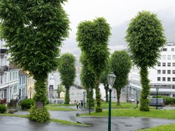 Bergen 2024