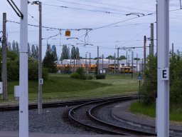 Dresden 2023